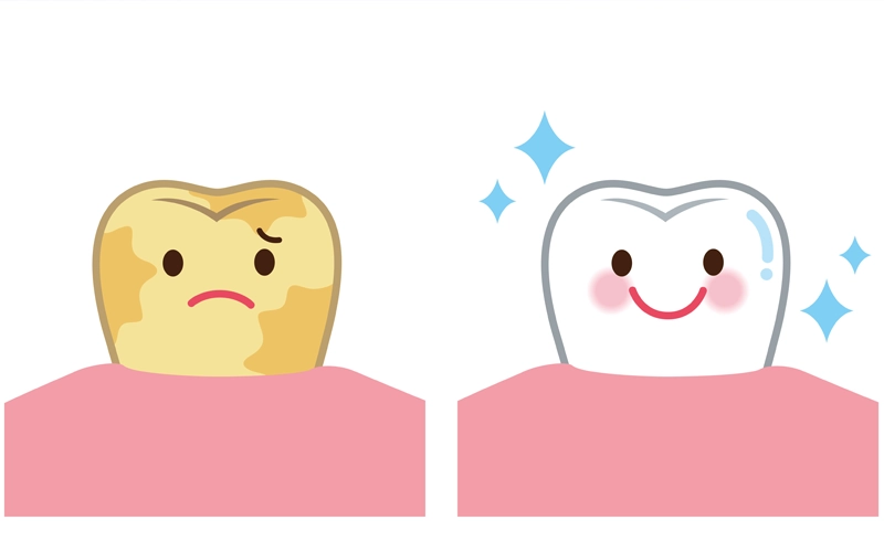 歯みがき粉によるホワイトニングの基本原理