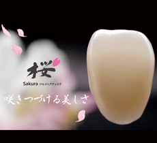 桜ジルコニアceramic